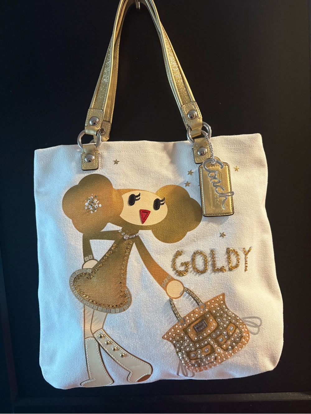 Vintage Y2K coach Poppy Chan Goldy tote